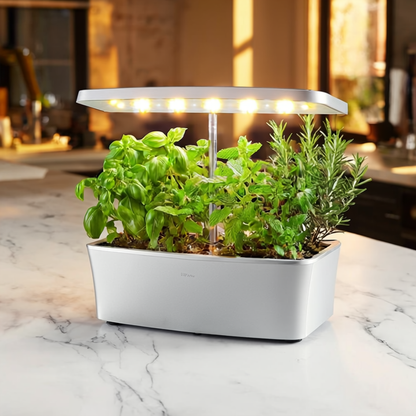 Orrivine LumaPod™ – Elegant Self-Watering Indoor Garden with Smart LED Lighting.