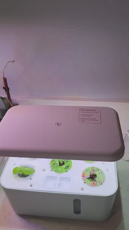 Orrivine LumaPod™ – Elegant Self-Watering Indoor Garden with Smart LED Lighting.